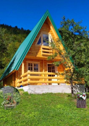 Etno house Bajka